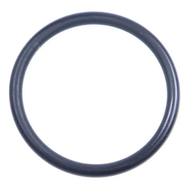 Seal (gasket) for dishwasher Gorenje 800468 20.5x2mm